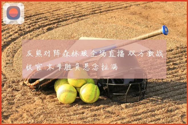 灰熊对阵森林狼全场直播 双方激战收官 末节胜负悬念拉满