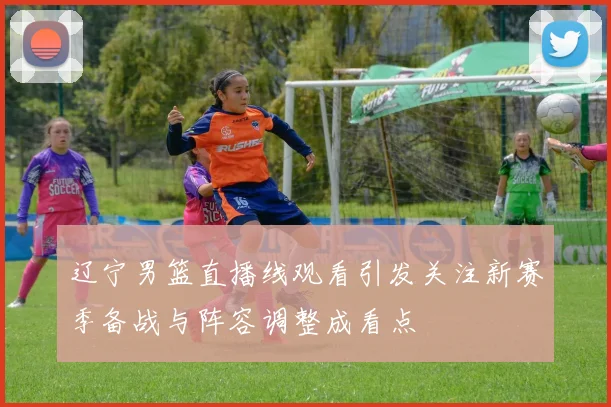 辽宁男篮直播线观看引发关注新赛季备战与阵容调整成看点