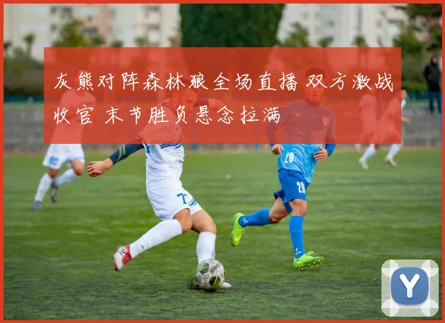 灰熊对阵森林狼全场直播 双方激战收官 末节胜负悬念拉满